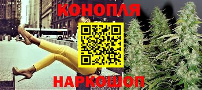 прущий лед Кингисепп