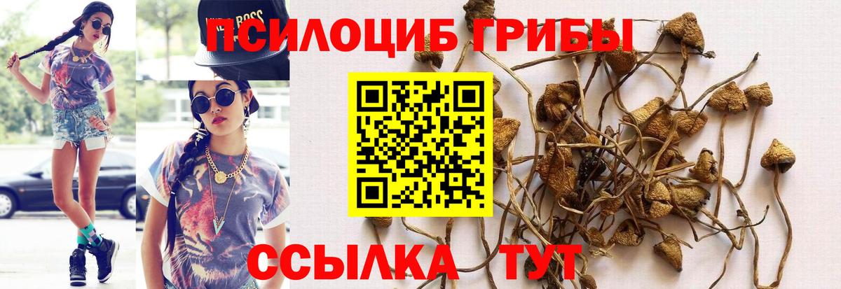 Псилоцибиновые грибы ЛСД Коломна